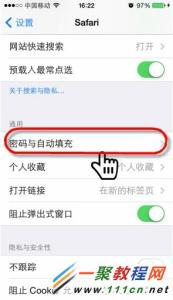 删除safari保存的密码 查看safari保存的密码 iPhone如何查看或删除Safari浏览器保存的网站密码
