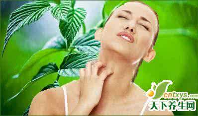 夏季预防蚊虫叮咬 夏季防蚊虫叮咬4偏方