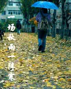 一场秋雨一场寒下一句 为什么一场秋雨一场寒?