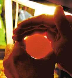 怎样鉴别鸡蛋是否新鲜 怎样鉴别鸡蛋的好坏