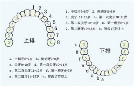 儿童换牙年龄 儿童换牙正常年龄是5-7岁