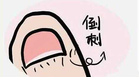 人都不知道300个秘密 =100条常人不知道的秘密