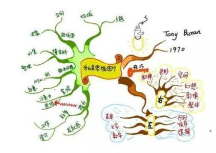 大脑利用率 大脑的10个奇妙事实：加以利用，孩子的记忆力快速提高10倍！