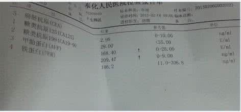 甲胎蛋白高吃什么能降 什么是甲胎蛋白