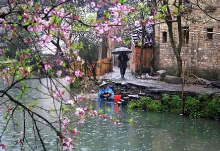 念香梦中锁江南音画 江南春雨【移動圖文音畫】