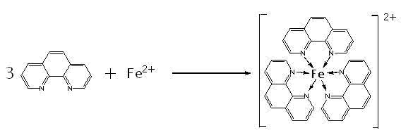 邻二氮菲测铁实验报告 邻二氮菲测铁实验报告 邻二氮菲分光光度法测定铁