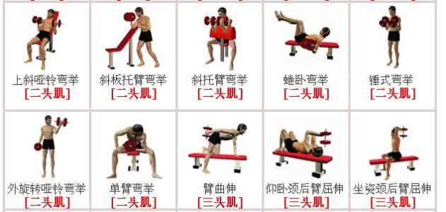 肌肉锻炼顺序 肌肉锻炼顺序步骤