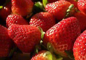 春天适合种什么水果 春天五种水果万万不能贪吃