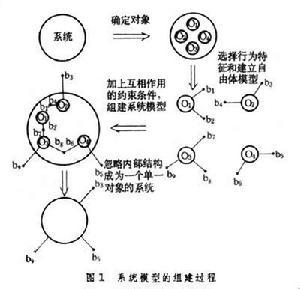 生态系统的结构 生态系统的系统分析