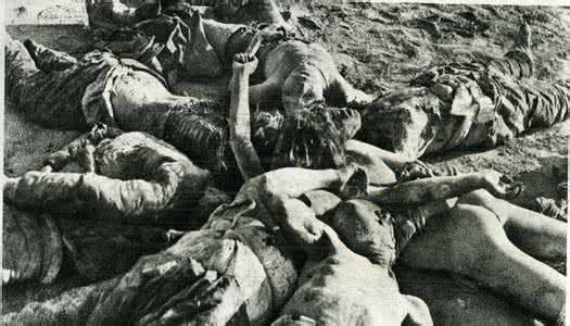 平阳公主简介 平阳惨案简介 平阳惨案到底有什么内幕