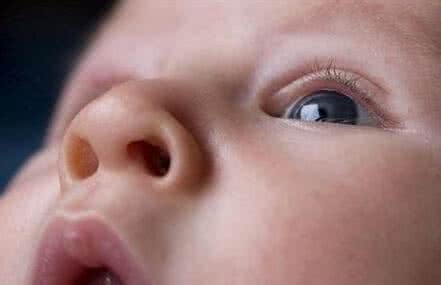 宝宝清理鼻腔 清理鼻腔 清理宝宝鼻腔能用手吗?