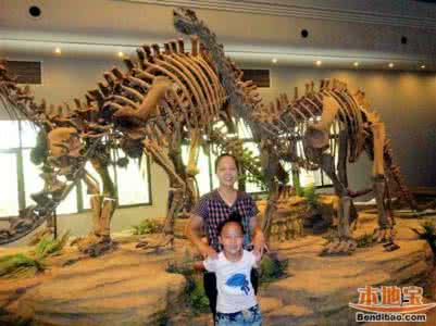 侏罗纪时期的恐龙 侏罗纪时期的恐龙 【恐龙博物馆】恐龙博物馆记录侏罗纪时期的故事