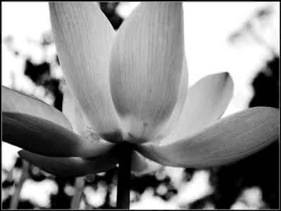 仙府尘缘 尘缘逝去