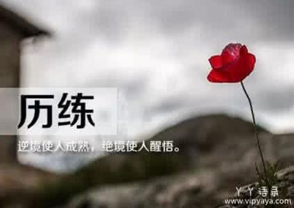 态度决定一切励志文章 励志文章:用一种顽强的态度面对人生