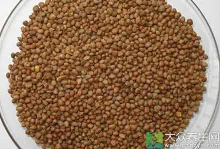 香椿籽的药用价值 萝卜籽的药用价值有什么啊