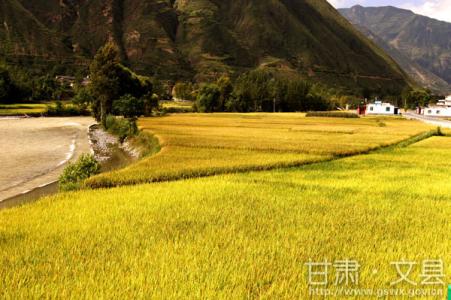 美景如画 如诗如画的田园美景