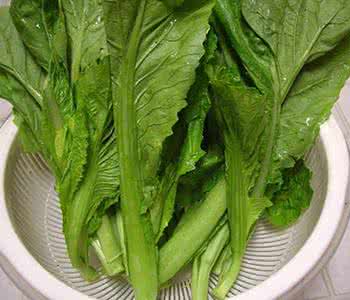 如何挑选生菜 如何挑选芥菜