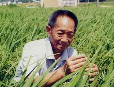 袁隆平带研究生 袁隆平:不下田的研究生我不培养他