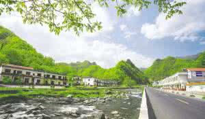 求购绿化苗木的联系人 山青水秀的绿化联