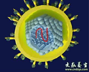 丙肝抗体是什么意思 丙肝抗体 什么是丙肝抗体