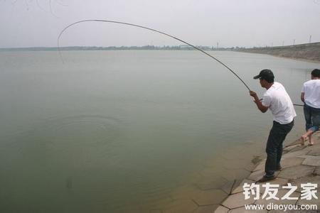 海竿钓具铅坠绑法图解 秋季海竿钓草鱼技巧（选点、饵料、钓具、技巧）