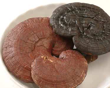 失眠喝灵芝糖浆有用吗 灵芝可以降糖吗？