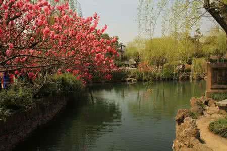 人间最美四月天的散文 四月,最美的人间岁月。