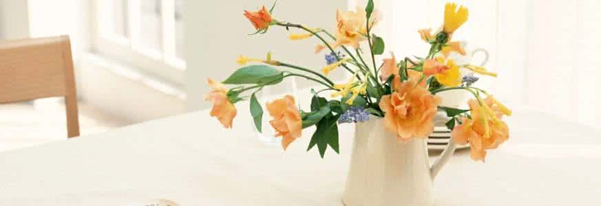 室内不宜养的花 四类花不宜养室内