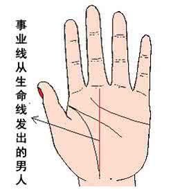 男人的事业线看哪只手 男人事业线图解