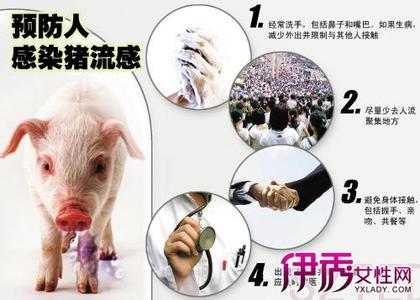 禽流感病毒 欧亚类禽H1N1猪流感病毒已获得感染人的能力