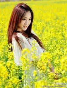 综漫之浅笑倾城 浅望幸福，只问浅笑安然