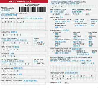 南非入境卡填写样本 各国入境卡最牛填写指南