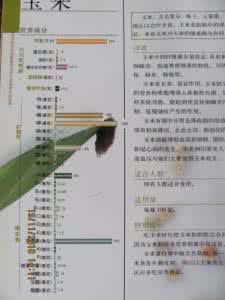 素食营养搭配 解析孕妇怎么成功的从素食中提取营养