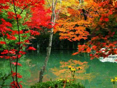 秋季去哪里旅游最好 秋天最适合去哪里旅游