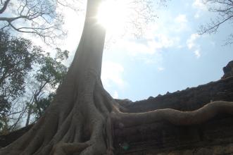 艾萱吴哥印象 印象吴哥：逝者如斯，谦卑而行 | 《世界》旅游杂志