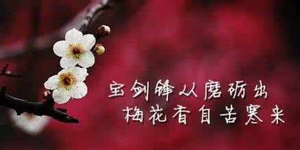 用心去工作的感悟 成功人生需要用心去感悟（组图）
