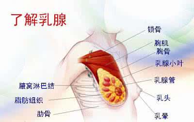 怎样治疗乳腺增生病 乳腺增生危害别小觑早治疗