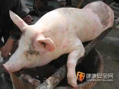 梦见杀猪见血 做梦梦见杀猪 梦见杀猪见血