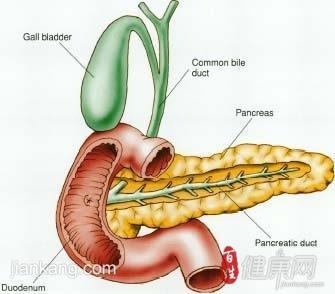 胰腺癌存活率 胰腺癌存活率 它的存活几率是多少