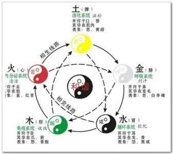 破解五行 容建平 《破解五行 》之：五行 的物质原型|容建平