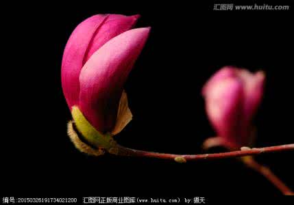 dnf黑色皮肤 性感新玩法 黑色中的露肤小花招