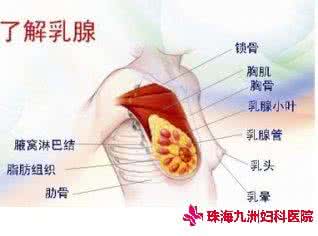 乳腺增生的治疗方法 乳腺增生不必担心 八大方法拯救你