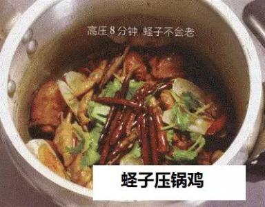 特高压技术 【技术分享】高压嘎巴锅系列—蛏子压锅鸡