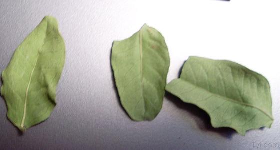 治疗高血压的秘方大全 爱爱医资源-治疗高血压秘方