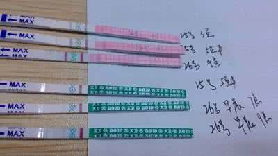 强阳后多久aa生男孩 排卵试纸强阳后多久排卵