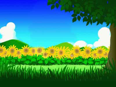 以平常心看待人生 【生活灵感 - 平常心看待,且看花無百日好】
