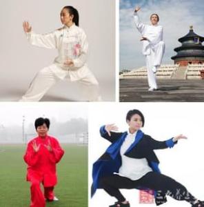秘传武当太极拳 武当秘传太极拳 武当 | 内家秘传正宗蜻蜓点水功