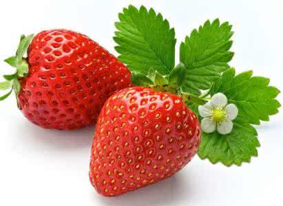 不老仙丹 西兰花胡萝卜洋葱 盘点那些食物竟是“不老仙丹”