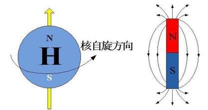 粒子为什么会自旋 自旋