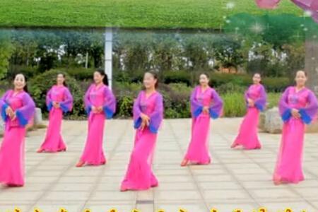 杨丽萍广场舞歌曲大全 杨丽萍广场舞 杨丽萍广场舞歌曲大全
